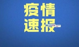 感恩哥最新爆料新闻视频,最新爆料新闻视频深度解析